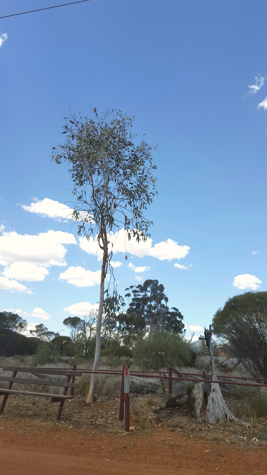 Goal Tree Historic Site | museum | Hunt St, Coolgardie WA 6429, Australia