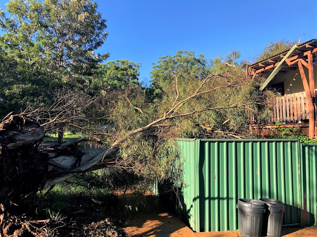 Jeff Pearce Tree Services | 24 Caleyi Cres, Tuncurry NSW 2428, Australia | Phone: 0415 312 104