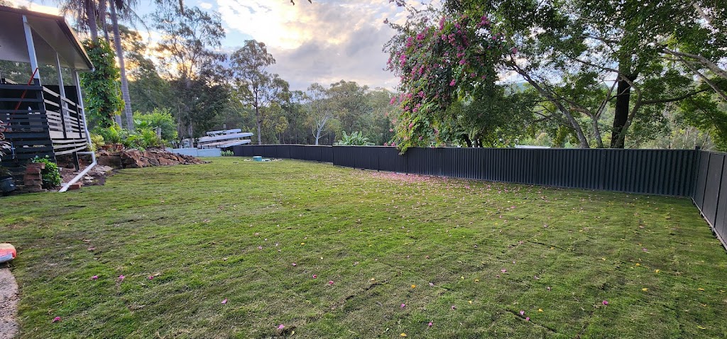 The Turf Shed | 742 Mundoolun Connection Rd, Boyland QLD 4275, Australia | Phone: 0417 852 444