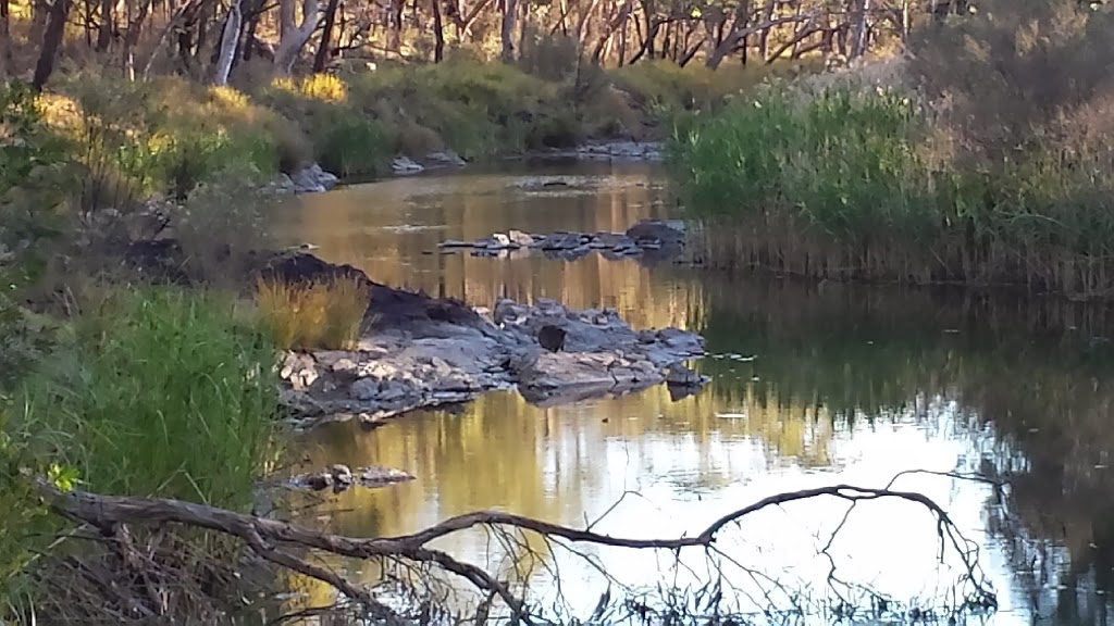 Kings Plains National Park | 68 Church St, Glen Innes NSW 2370, Australia | Phone: (02) 6739 0700