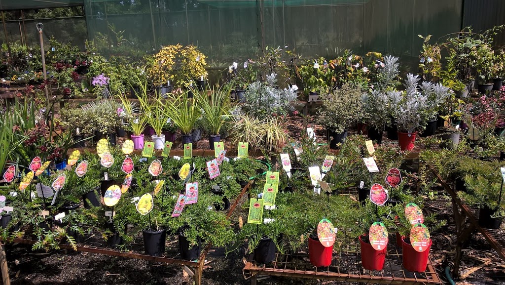 Nursery Wallu Landscaping Hours | 3683 Tin Can Bay Rd, Wallu QLD 4570, Australia | Phone: (07) 5486 2273