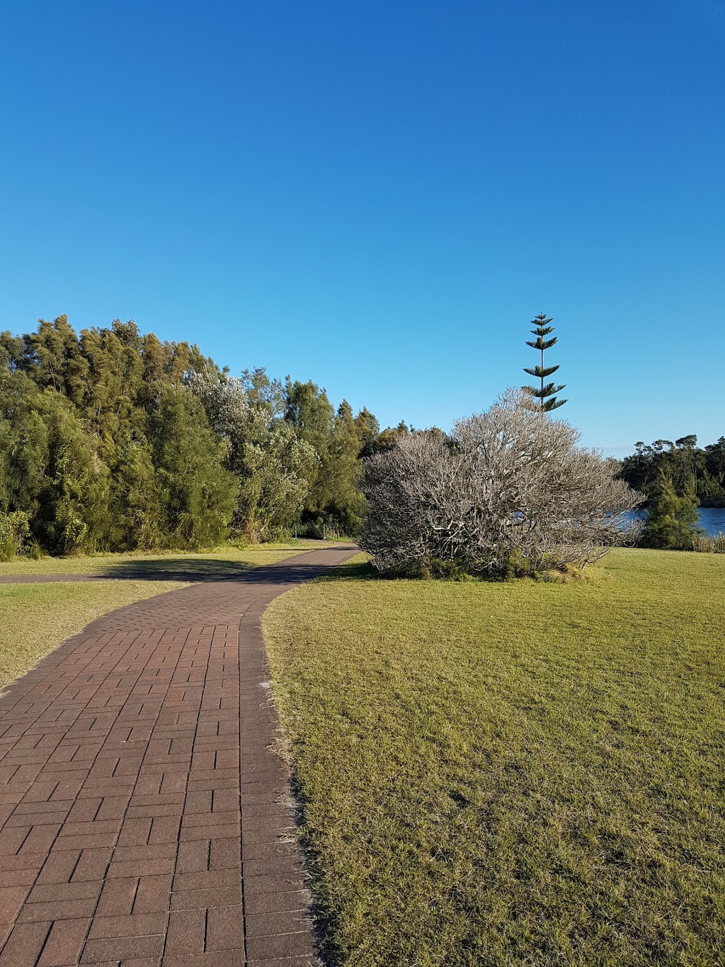 Sensory Gardens | 7 Wilfred Barrett Dr, The Entrance North NSW 2261, Australia | Phone: 1800 335 377