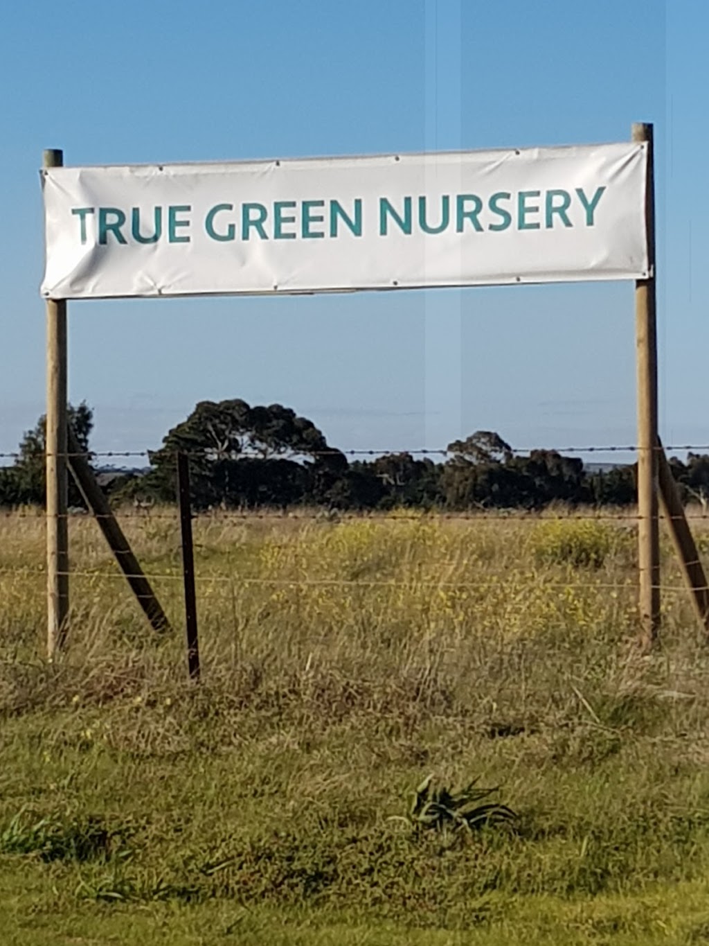 True Green Nursery | 137 Highett Rd, Melton VIC 3337, Australia | Phone: (03) 9743 5932