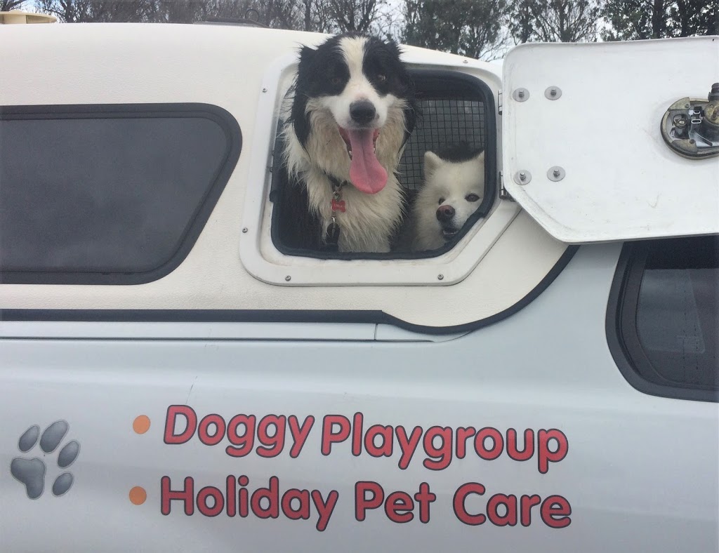 All4Paws Dog Training |  | 40 Macquarie St, Bolton Point NSW 2284, Australia | 0407008004 OR +61 407 008 004
