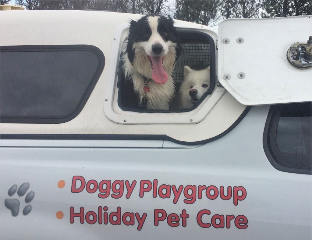 All4Paws Dog Training | 40 Macquarie St, Bolton Point NSW 2284, Australia | Phone: 0407 008 004