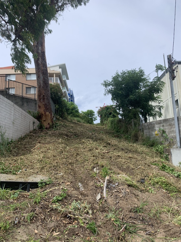 Daly Tree Contracting | 5 Jessie Rd, Anna Bay NSW 2316, Australia | Phone: 0482 476 534