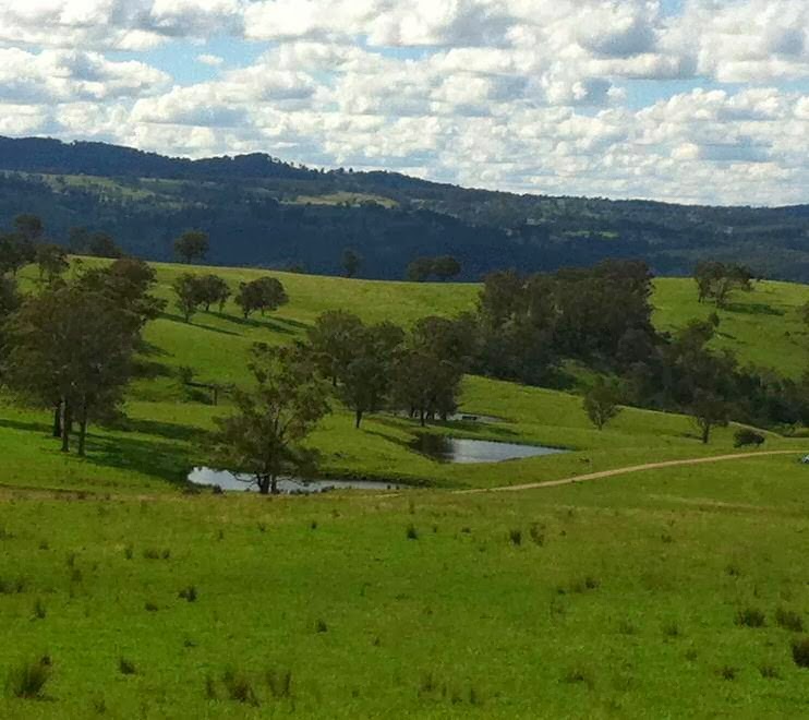 Cheyenne Wilderness Retreat Farmstay | 2770 Winterbourne Rd, Walcha NSW 2354, Australia | Phone: (02) 6777 9172