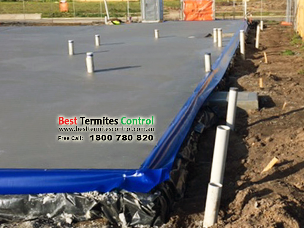 Best Termites Control Menzies Creek | 46 School Rd, Menzies Creek VIC 3159, Australia | Phone: 1800 780 820
