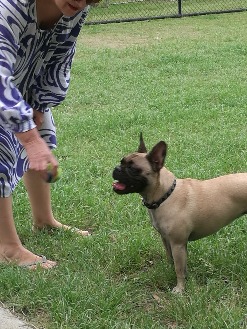 Redlands Softball Park Dog offleash Park | park | 68 Sturgeon St, Ormiston QLD 4160, Australia