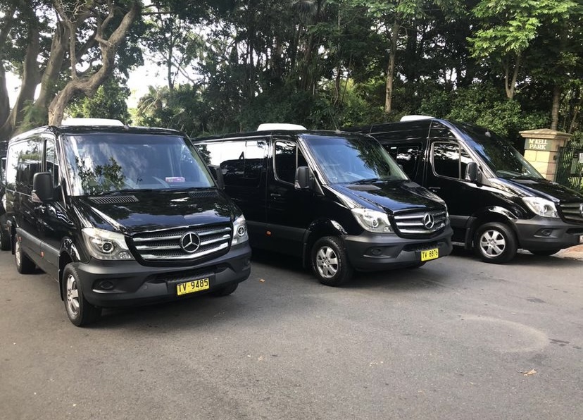 Mini VAN Bus | 7 Barford Way, Harrington Park NSW 2567, Australia | Phone: 0499 976 234