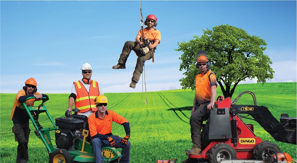 Tree Removal Service Tyabb Hastings Area | 31 The Crescent, Tyabb VIC 3913, Australia | Phone: (03) 5976 3114