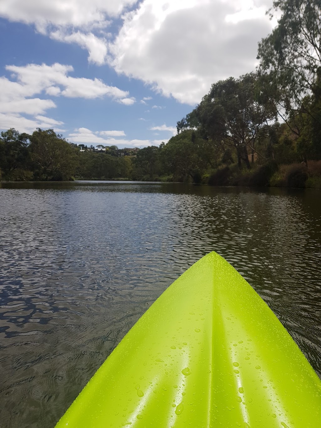 Barwon River | park | Rotary Walk, Newtown VIC 3220, Australia