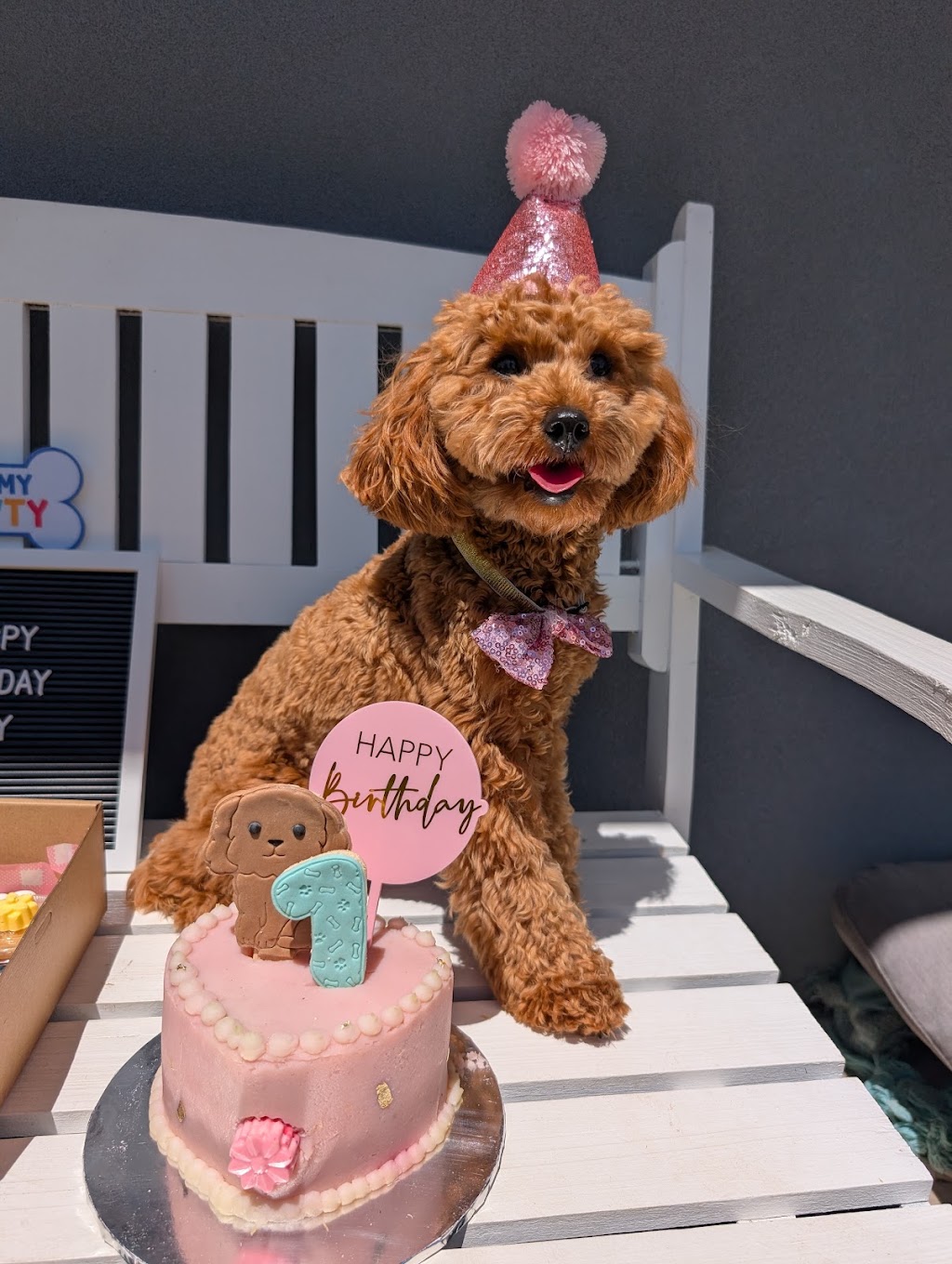 Hunter and Furends | N Liverpool Rd, Mount Pritchard NSW 2170, Australia | Phone: 0403 888 631