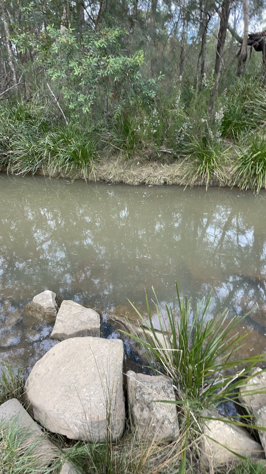 Nattai Ponds Playground | Isedale Rd, Braemar NSW 2575, Australia | Phone: (02) 4868 0888