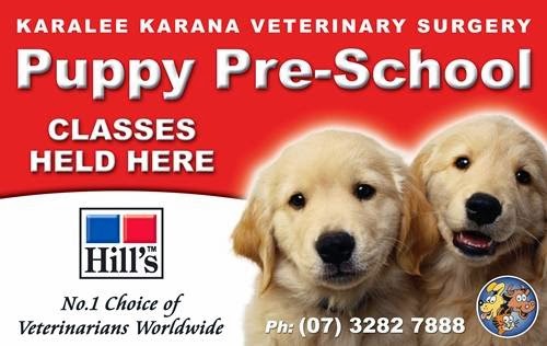 Karalee Karana Veterinary Surgery | pet store | 304 Mount Crosby Rd, Chuwar QLD 4306, Australia | 0732827888 OR +61 7 3282 7888