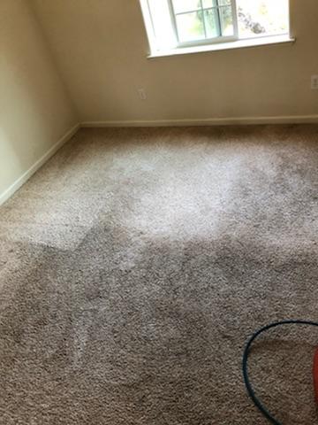 IK Carpet Cleaning Toowoomba | 663 South St, Glenvale QLD 4350, Australia