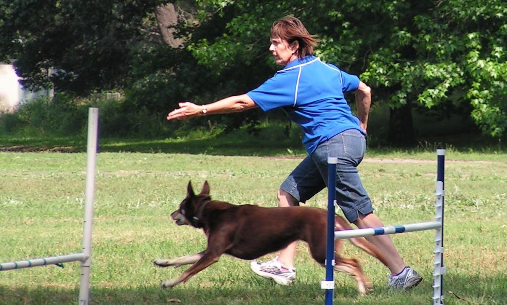 Eastern Suburbs Dog Training | park | Musgrave Ave, Centennial Park NSW 2022, Australia