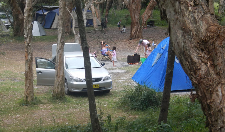 Hungry Gate campground | Hungry Campground Rd, Hat Head NSW 2440, Australia | Phone: (02) 6561 6700