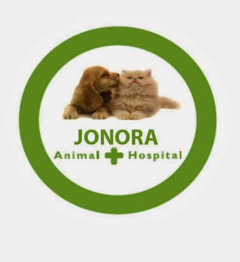 Jonora Animal Hospital | 6/24 Riverview St, North Richmond NSW 2754, Australia | Phone: (02) 4579 7155