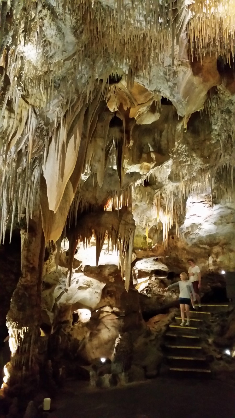 Tantanoola Caves | park | Tantanoola SA 5280, Australia