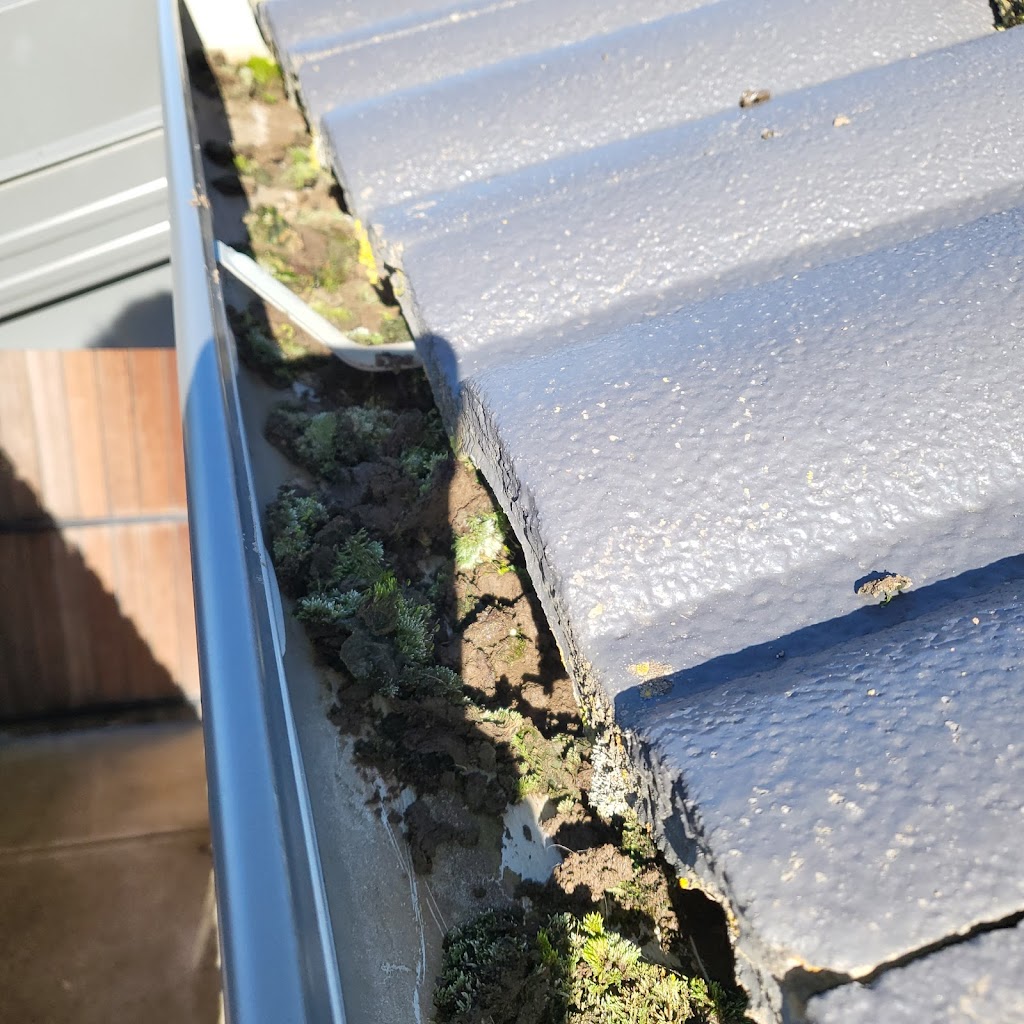 Gutterly clean | 24 McMahon Ave, Armstrong Creek VIC 3217, Australia | Phone: 0405 129 553
