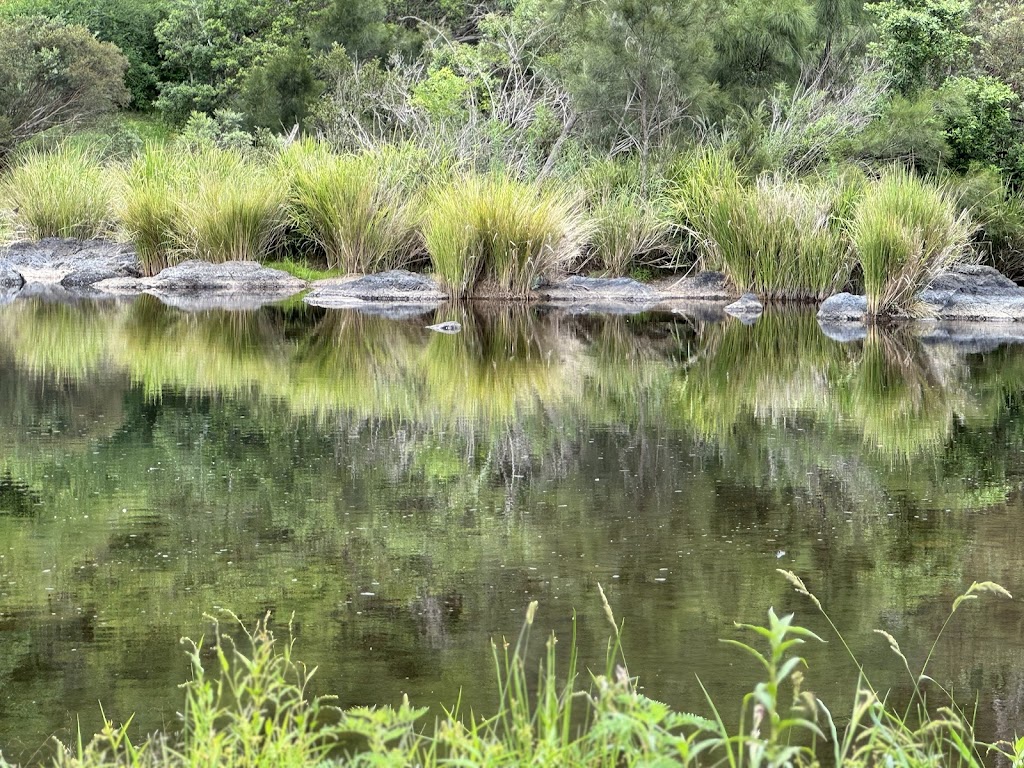 Yeoman Farm Stay | Bennetts Road, Nymboida NSW 2460, Australia | Phone: 0439 363 263