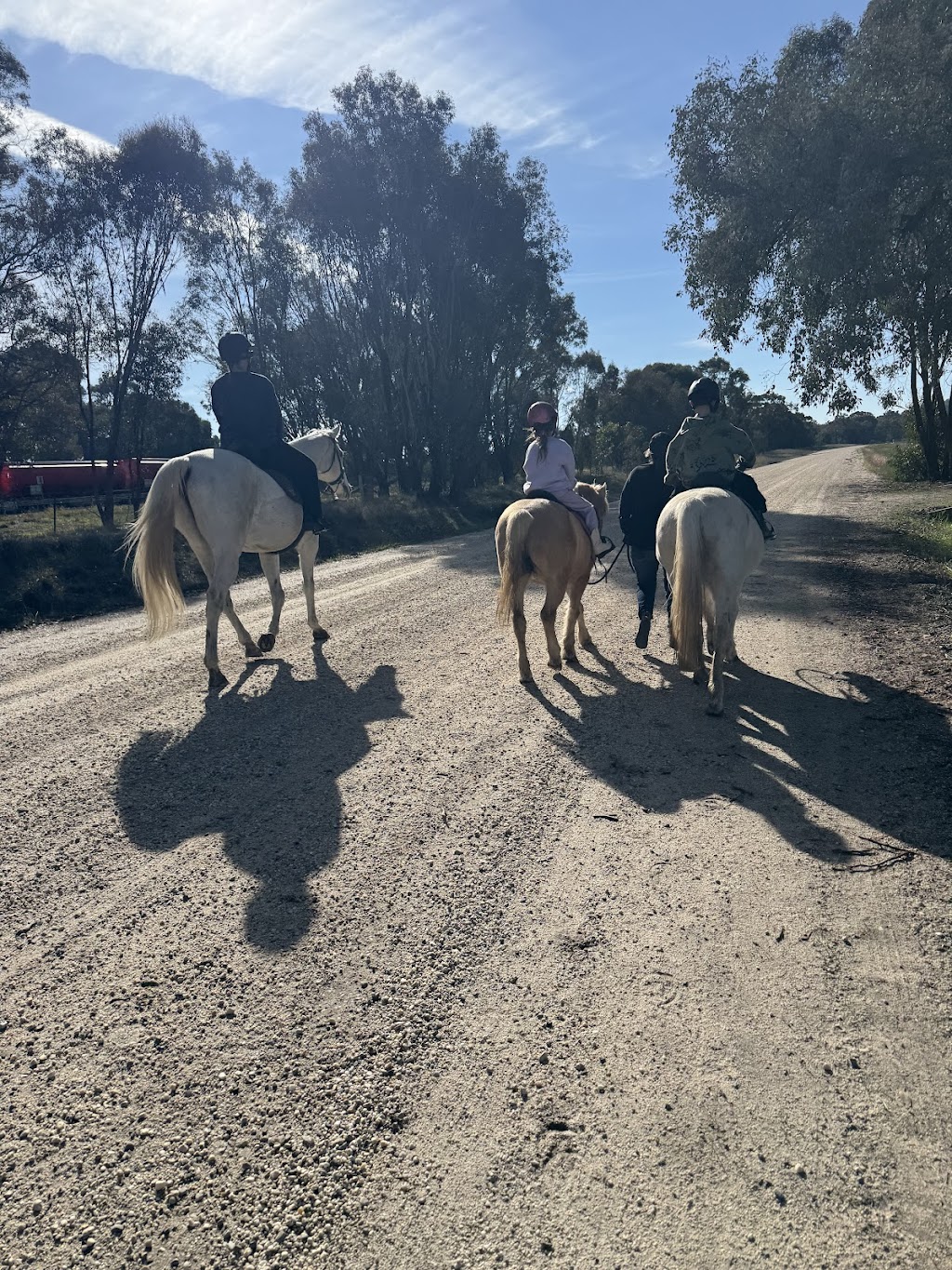 JW Equestrian | 109 Ryans Access Rd, Barnawartha VIC 3688, Australia | Phone: 0418 415 159