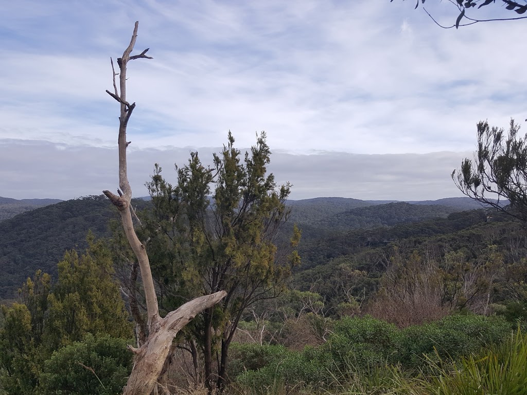 Teddys Lookout | 53 George St, Lorne VIC 3232, Australia | Phone: (03) 5261 0600