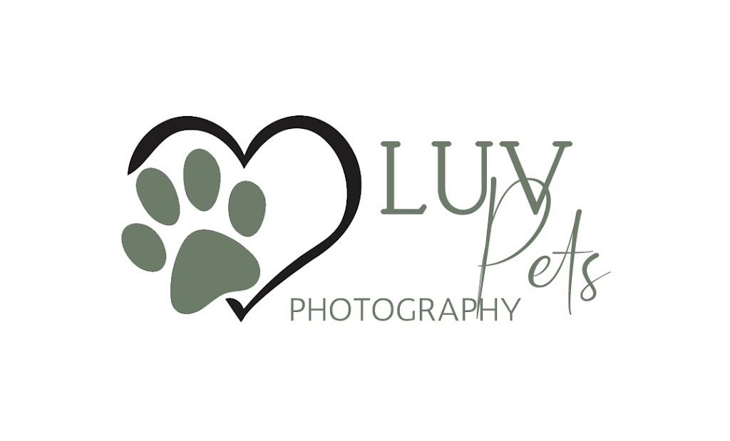Luv Pets Photography |  | Seafoam Cl, Varsity Lakes QLD 4227, Australia | 0415661473 OR +61 415 661 473
