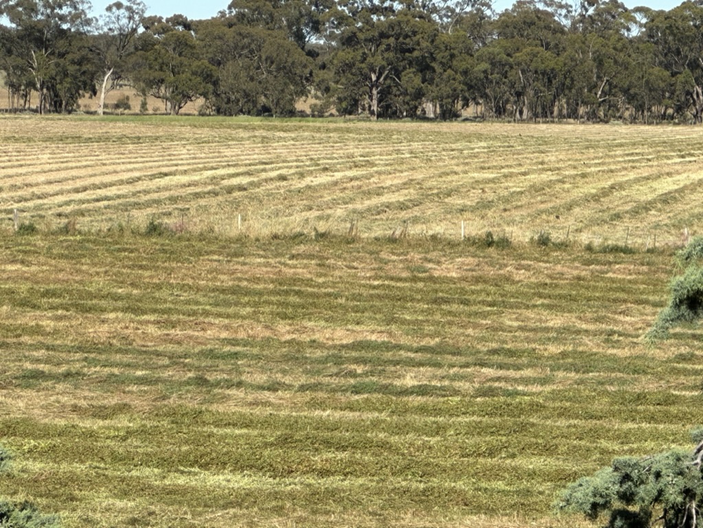 Brewery Farm on Loddon | Brewery Farm, 51 Catto Ln, Newbridge VIC 3551, Australia | Phone: (03) 5438 7547