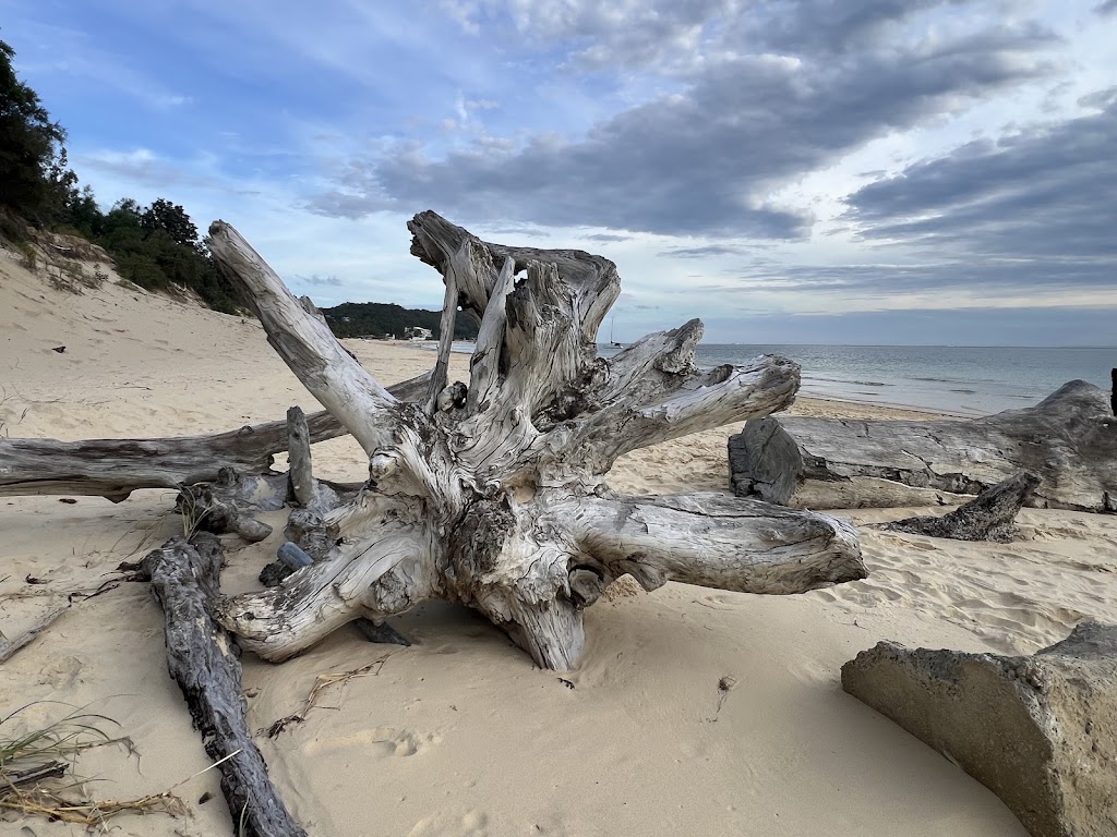 Allure Beach House | 11 Cassidae Cres, Tangalooma QLD 4025, Australia | Phone: 0467 777 201