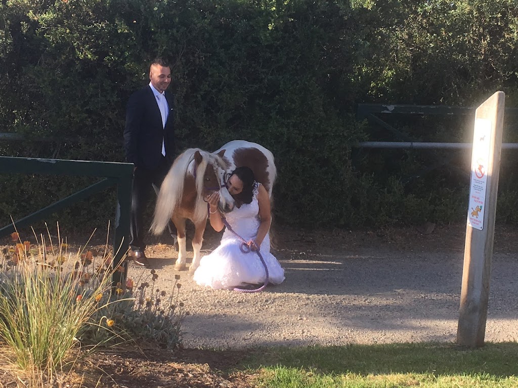 Melbournes Pony Parties and Forest Rides | point of interest | Broadford Rd, Flowerdale VIC 3717, Australia | 0417330948 OR +61 417 330 948