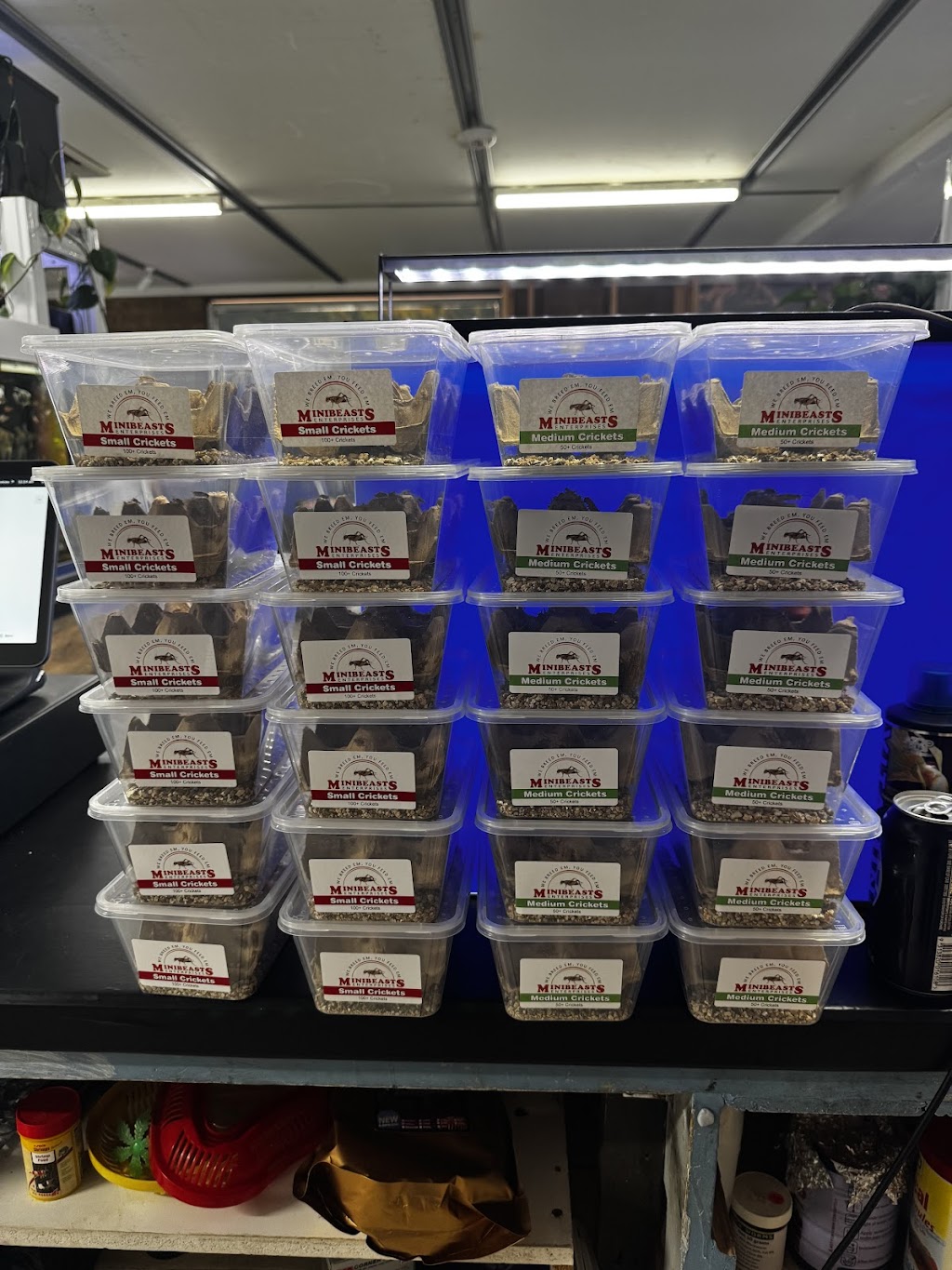 Freshwater Aquariums & Pets | 16 Longfield St, Stawell VIC 3380, Australia | Phone: 0400 927 762