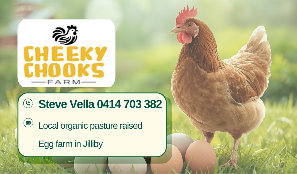 Cheeky Chooks Egg Farm | 37 Little Jilliby Rd, Little Jilliby NSW 2259, Australia | Phone: 0414 703 382