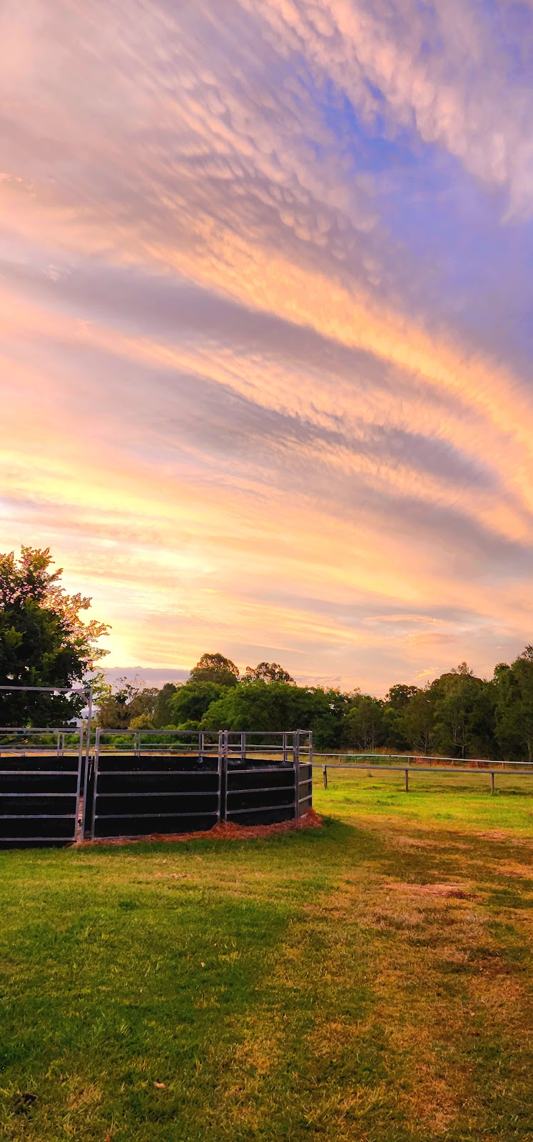 LP Lodge | 3199 Beaudesert Boonah Rd, Beaudesert QLD 4285, Australia | Phone: 0434 489 992