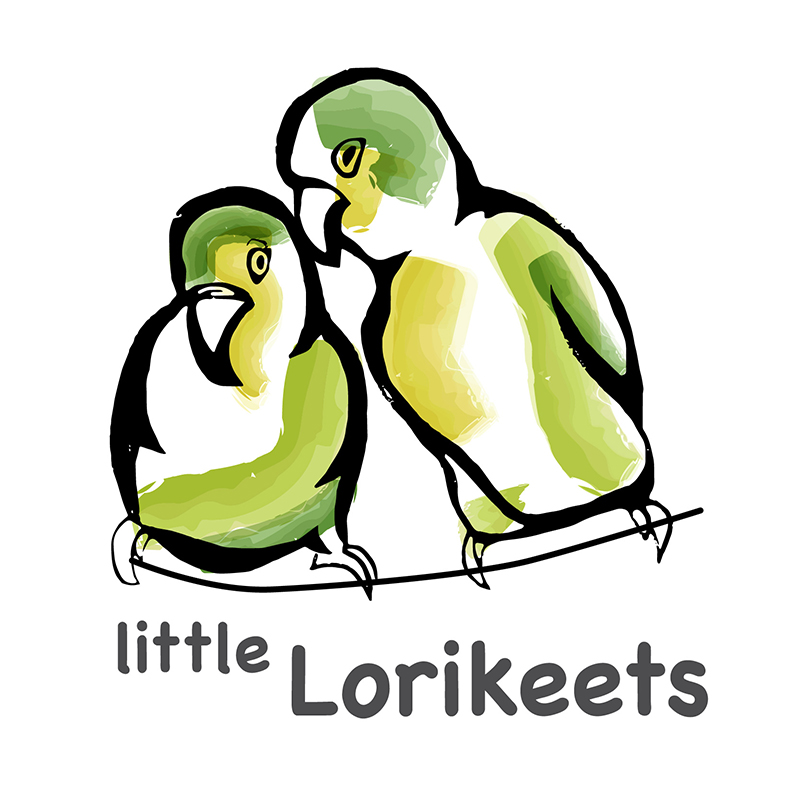 Little Lorikeets Speech Therapy | 1 Fourteenth Ave, Kedron QLD 4031, Australia | Phone: 0421 920 295