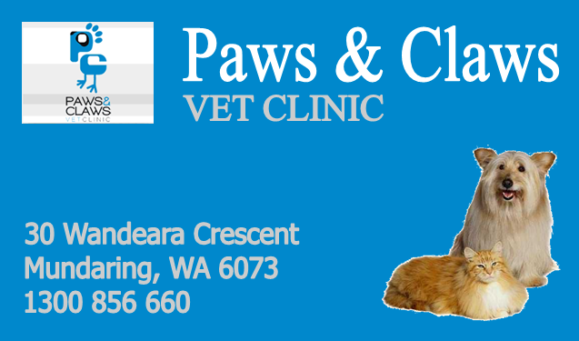 Vet Mundaring - Paws and Claws Veterinary Clinic | 30 Wandeara Cres, Mundaring WA 6073, Australia | Phone: 1300 856 660
