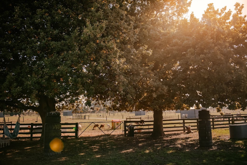 Cardinia Equine Assisted Counselling | 1070 Caldermeade Rd, Catani VIC 3981, Australia | Phone: 0421 343 745