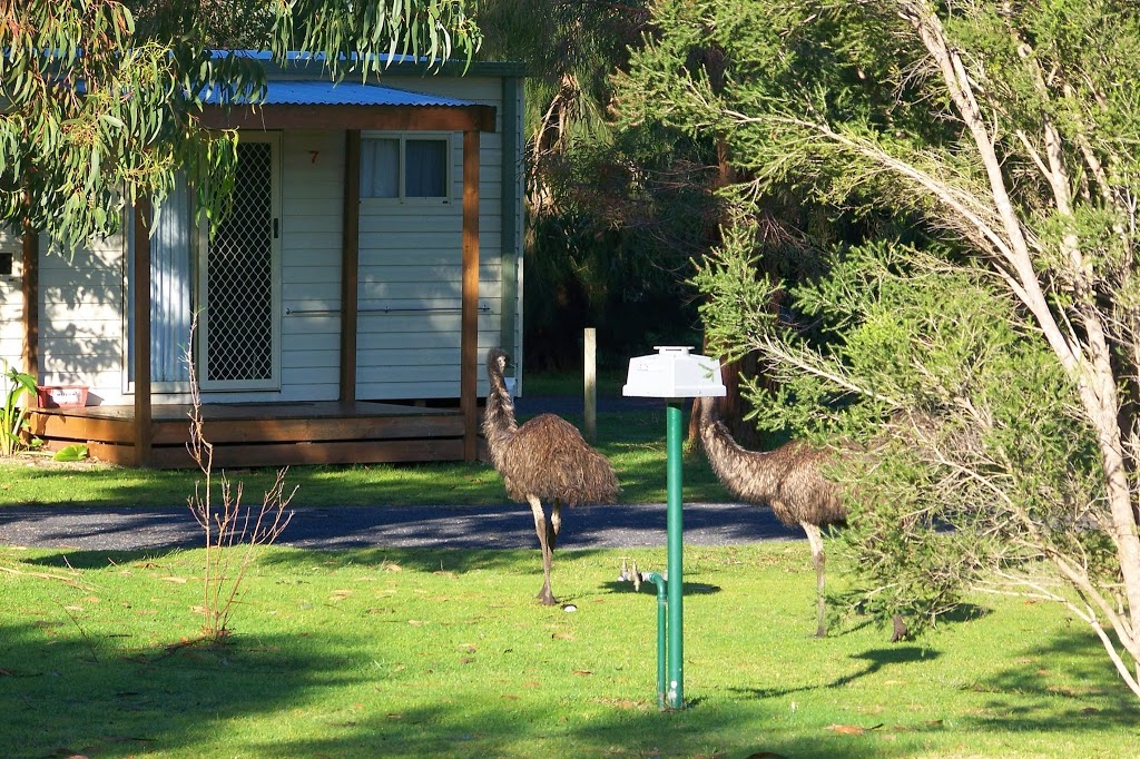 Kywong Caravan Park | rv park | 92 N Nelson Rd, Nelson VIC 3292, Australia | 0887384174 OR +61 8 8738 4174