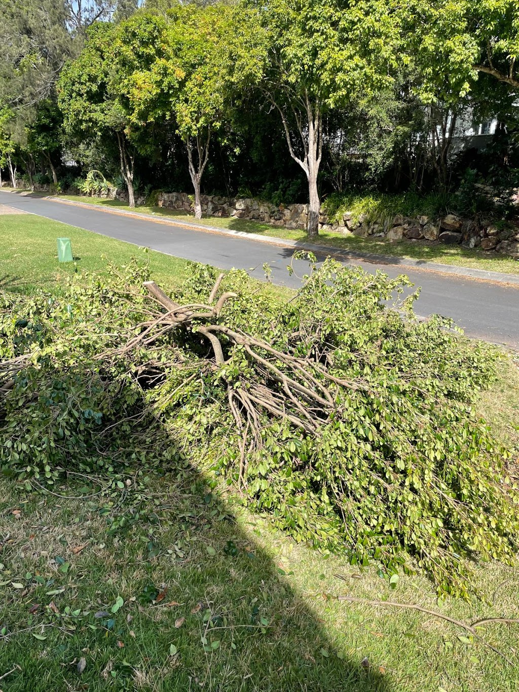 TG Scapes | 12 Hornsey Rd, Anstead QLD 4070, Australia | Phone: 0455 514 601