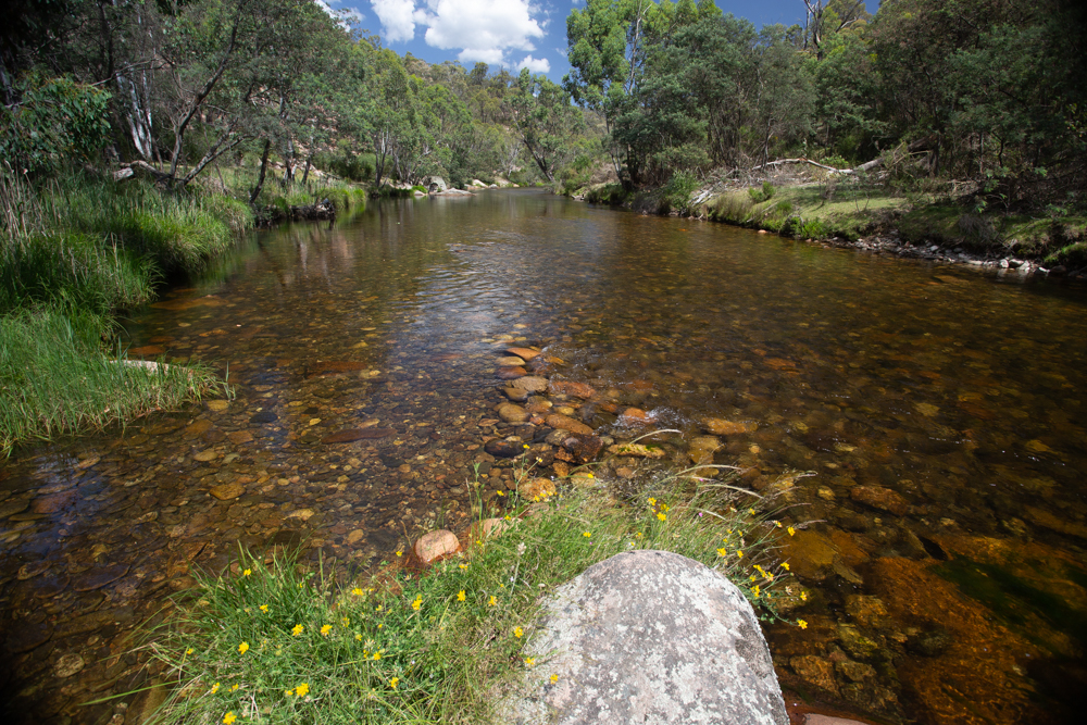 Anglers Rest Campground & Toilet | campground | 2855 Omeo Hwy, Anglers Rest VIC 3898, Australia | 131963 OR +61 131963