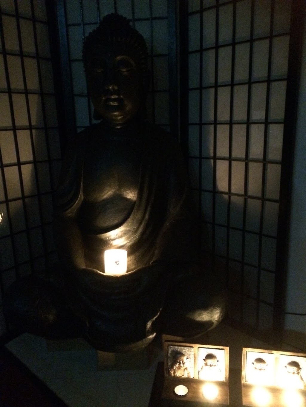 Natural Therapies College | 55 Turner St, Blacktown NSW 2148, Australia | Phone: 0408 115 139