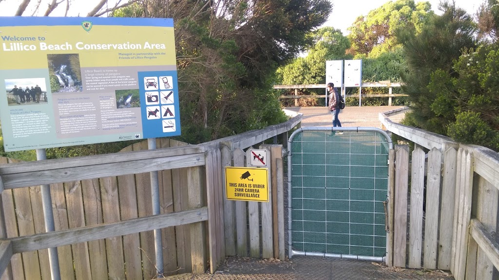 Penguin Viewing Platform | Lillico Beach, Lillico TAS 7310, Australia | Phone: (03) 6165 4230