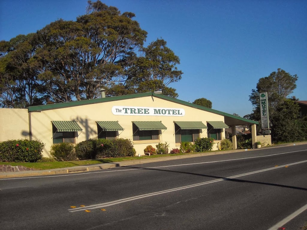 Tree Motel | lodging | 213 Princes Hwy, Narooma NSW 2546, Australia | 0244764233 OR +61 2 4476 4233