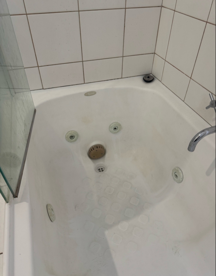 Pelikan Cleaning Services | 13 Royal Rd, Bonbeach VIC 3196, Australia | Phone: 0490 725 579