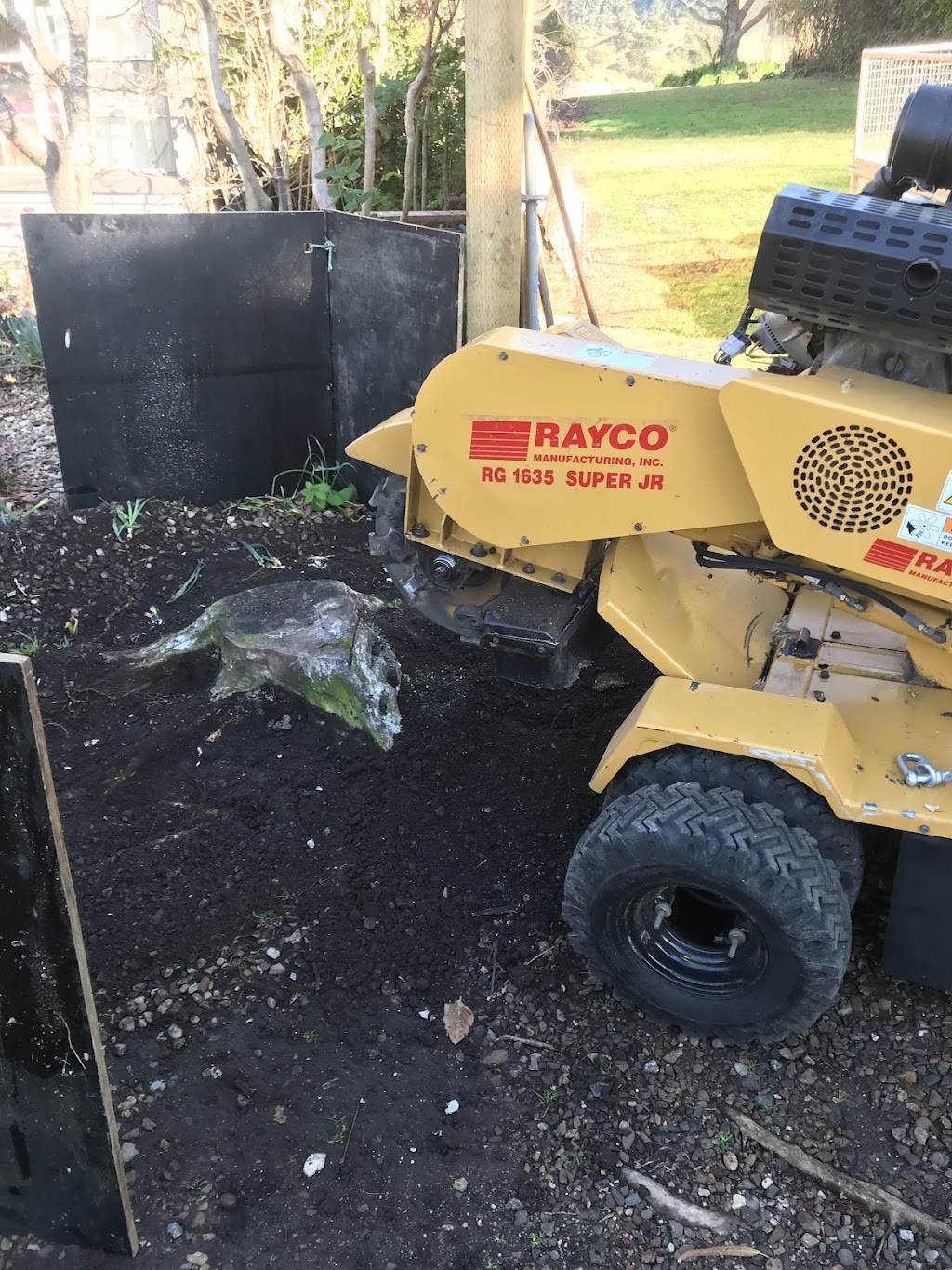 Bermagui stump grinding | 66 Wallaga Lake Rd, Bermagui NSW 2546, Australia | Phone: 0437 546 801