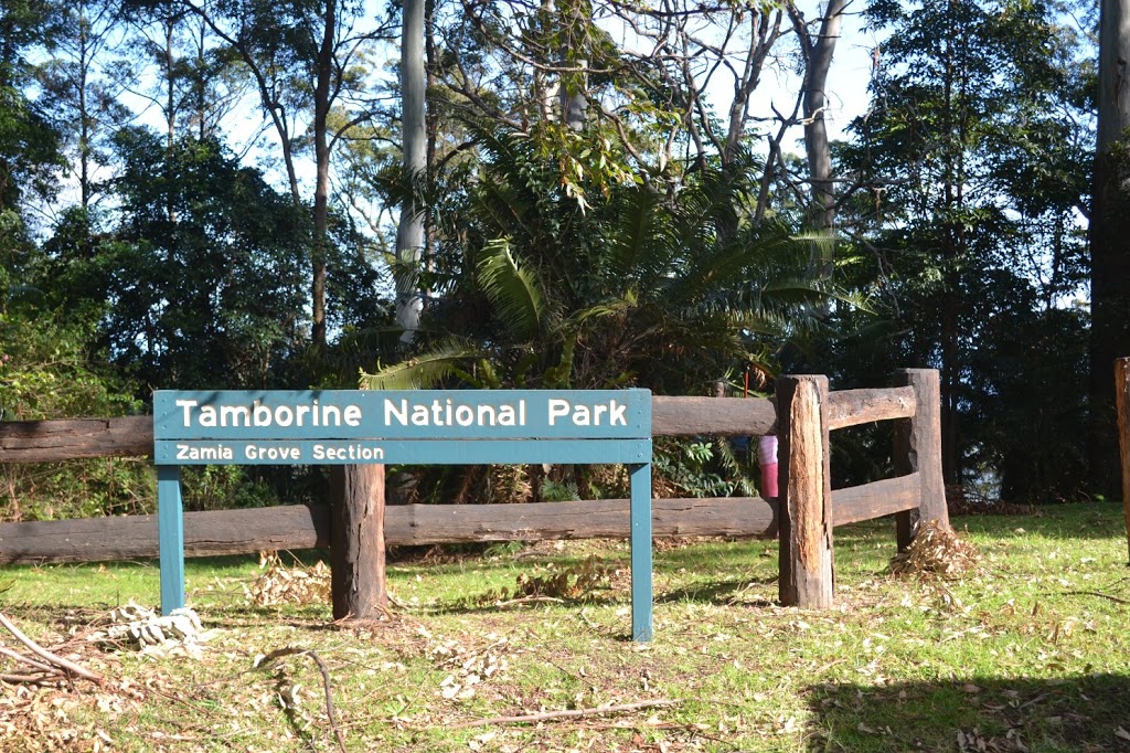 Lepidozamia Grove section | park | 499-505 Main Western Rd, Tamborine Mountain QLD 4272, Australia
