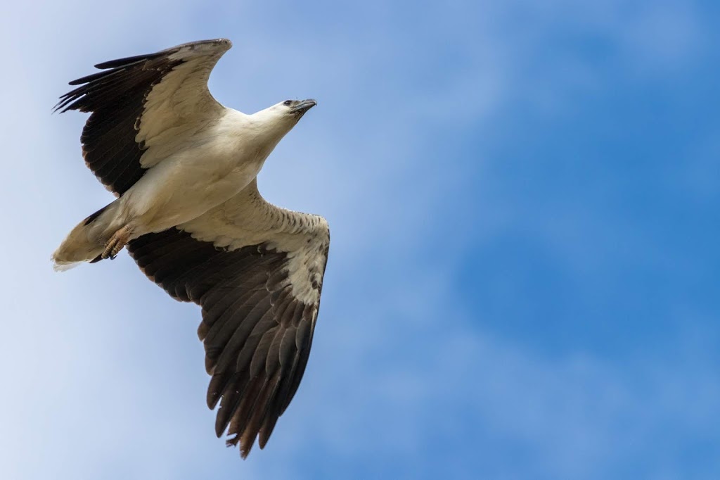 Fort King Island Walking Track | park | Paynesville VIC 3880, Australia