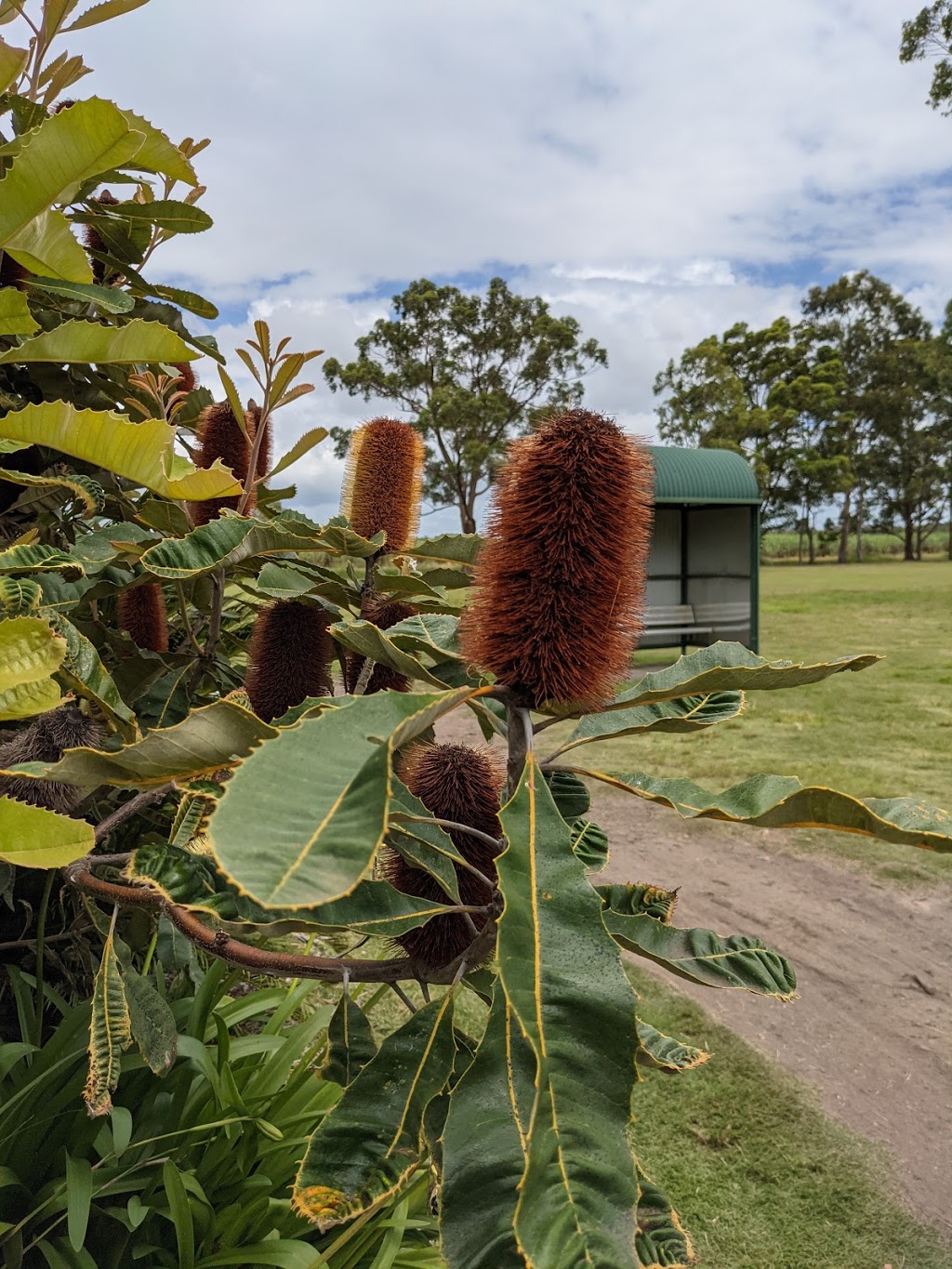 WOODBURN-EVANS HEAD GOLF CLUB | 45 Golf Links Rd, Woodburn NSW 2472, Australia | Phone: (02) 6682 2385