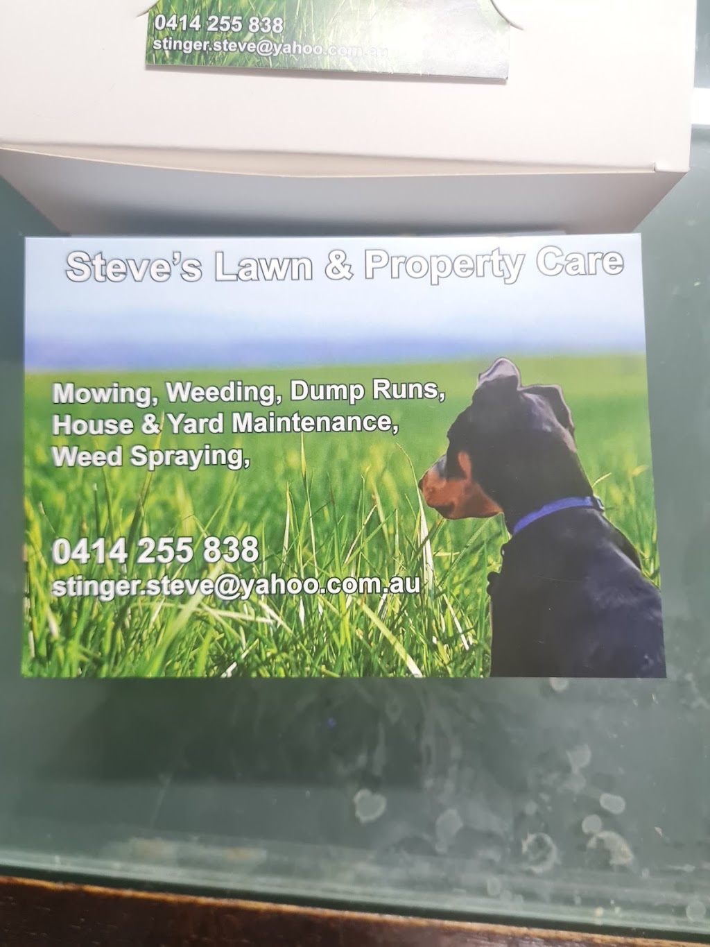 Steves Lawn and Property Care Pty Ltd | 25 Nanbaree Dr, Bray Park QLD 4500, Australia | Phone: 0426 961 675